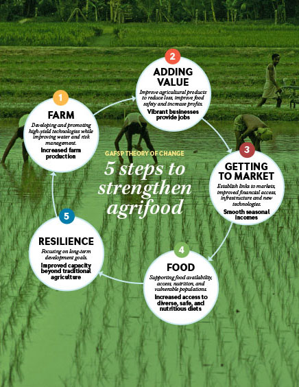 cycle of steps to strengthen agrifood