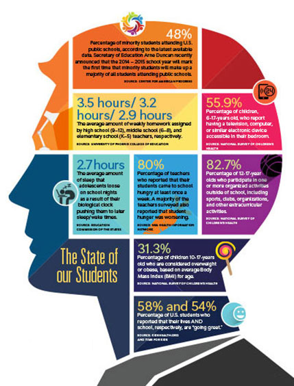silhouette of head broken into colorful sections of stats
