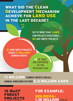 vertical graphic of changing scenes to represent climate changes